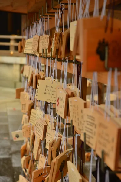 DSC_3319 (Large).JPG